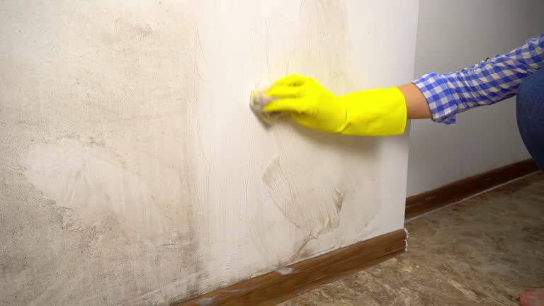 Best Crawl Space Mold Remediation  in Rome, NY