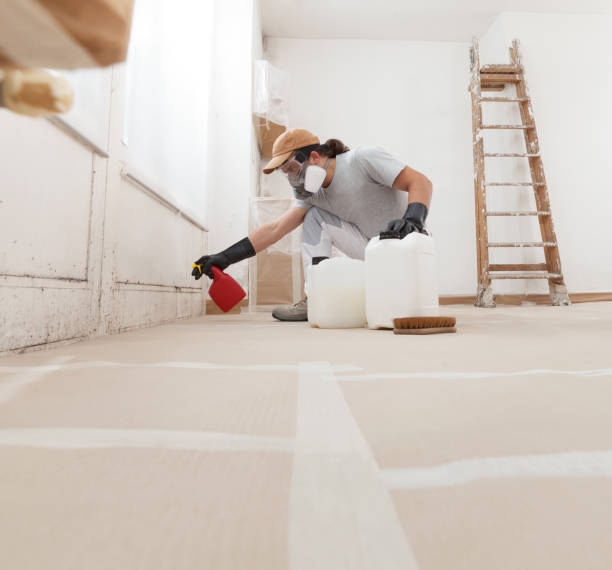 Best Environmental Consulting for Mold Prevention  in Rome, NY